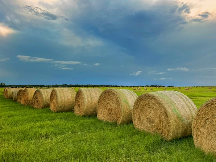 Hay Bales