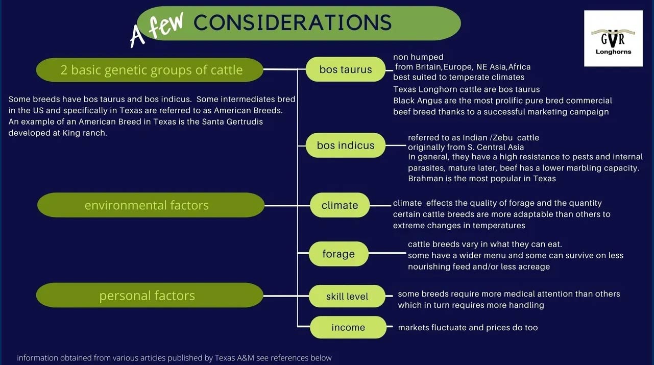 Information about genetic groups of cattle