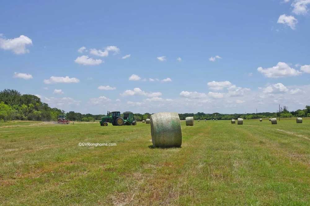 baling hay in texas