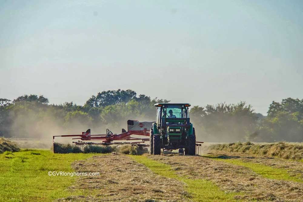 baling hay