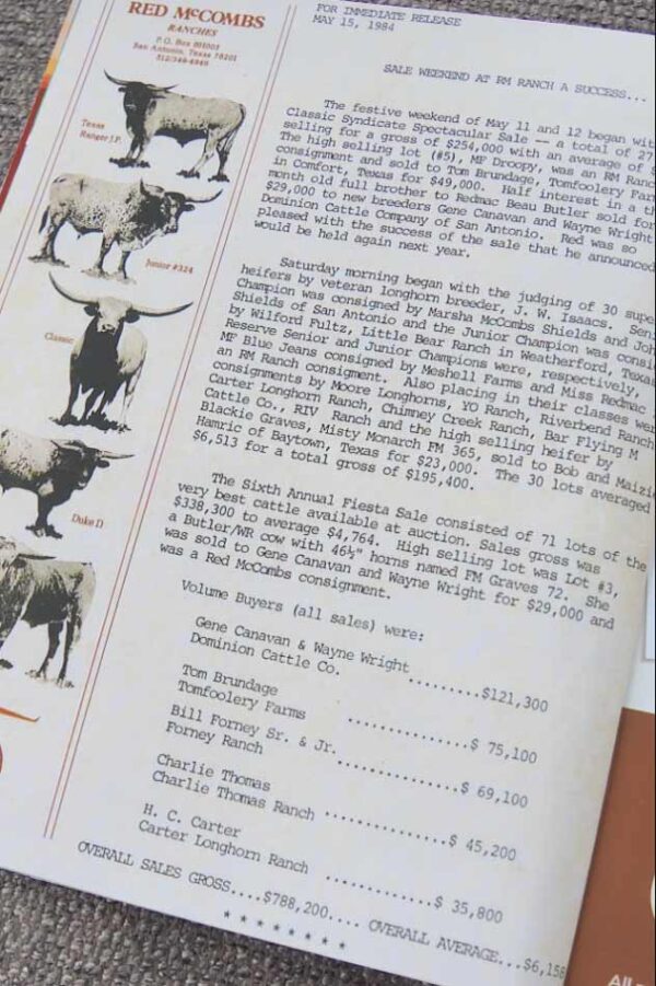 How Much Do Texas Longhorn Cattle Cost? GVR Longhorns LLC