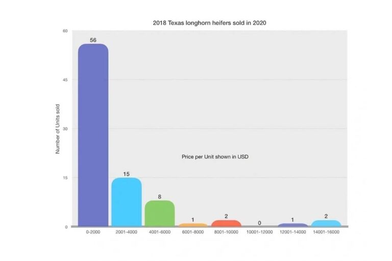 Texas Longhorn Cattle Cost HOW MUCH? GVR Longhorns LLC