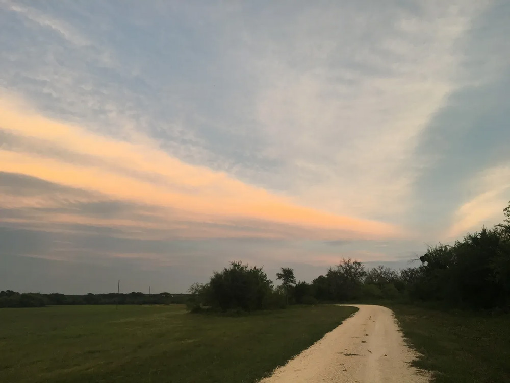 agricultural-exemption-in-Texas