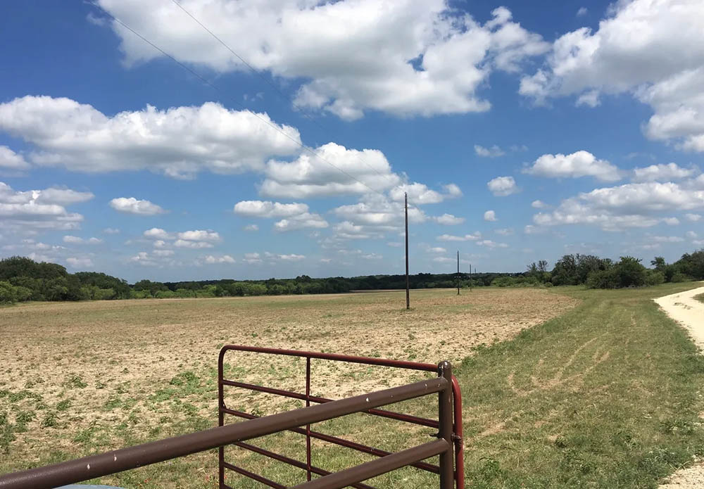 agricultural-tax-exemptions-in-texas-longhorns