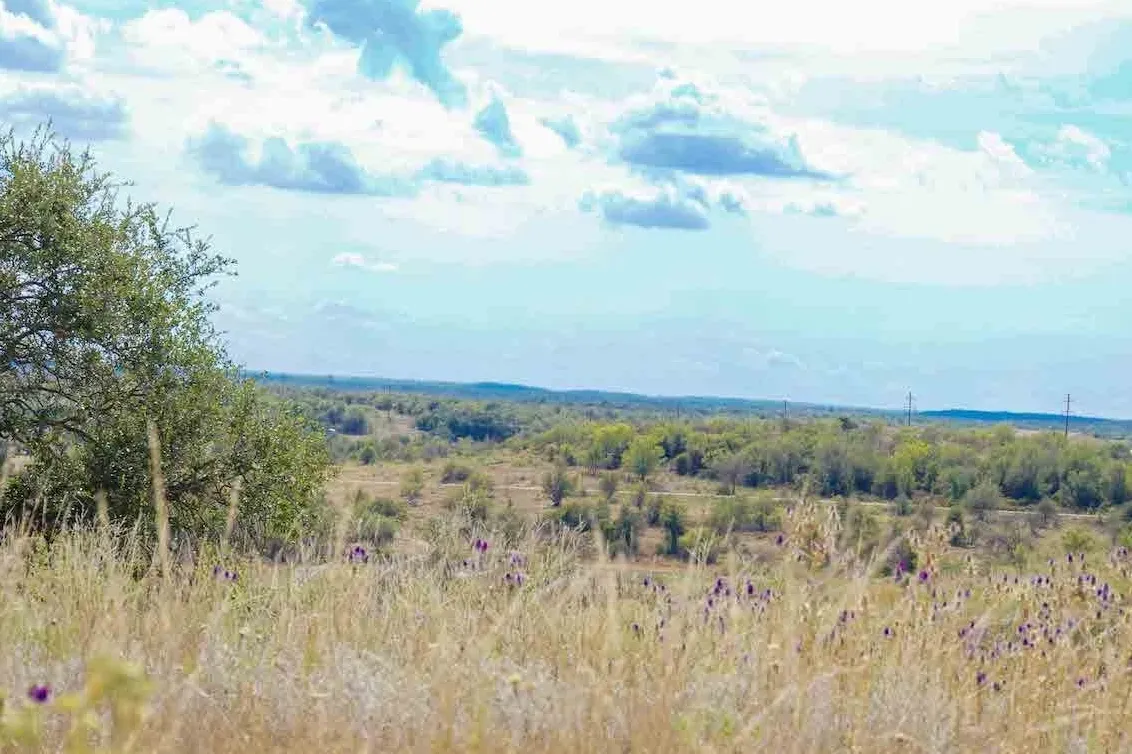 View of Texas landscape