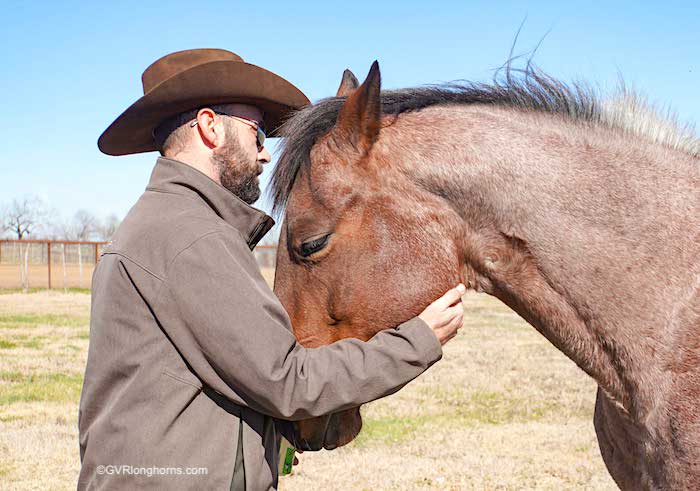 head shot of rancher with his horse