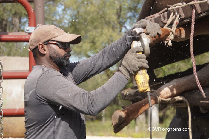 hoof-trimming