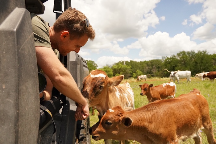 gvrlonghorns