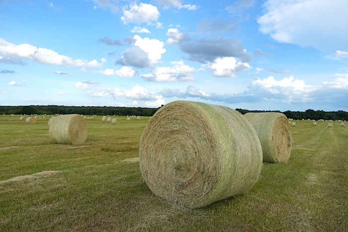 Hay for sale in Texas